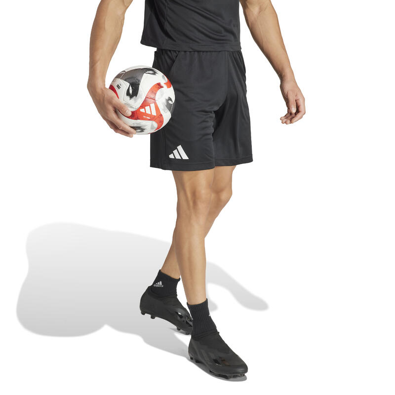 Short arbitre 24 adidas