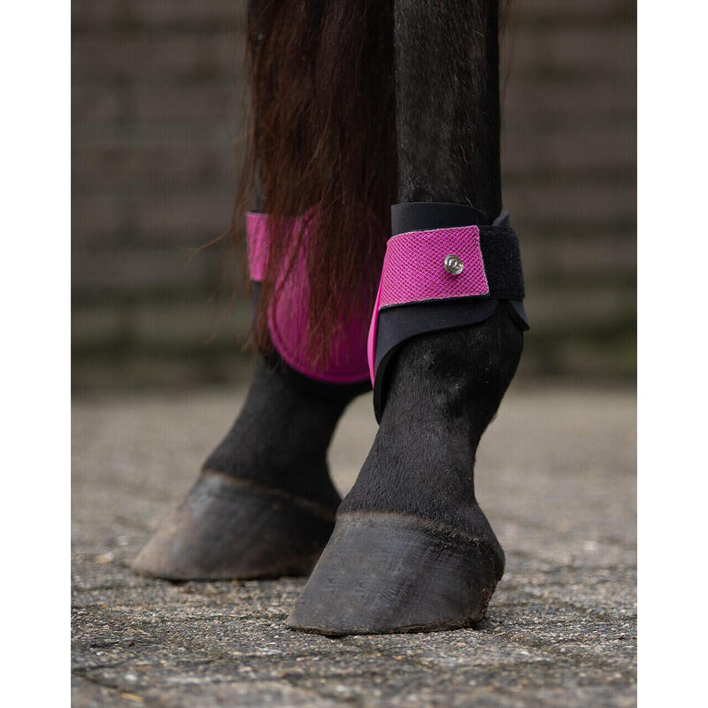 Paardenvoeten QHP Rio