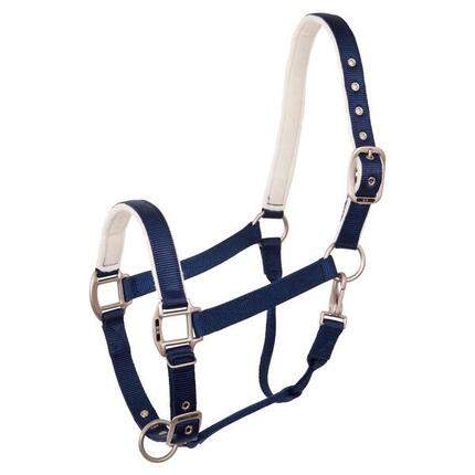 Licol pour cheval BR Equitation Event