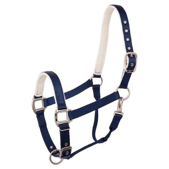 Licol pour cheval BR Equitation Event
