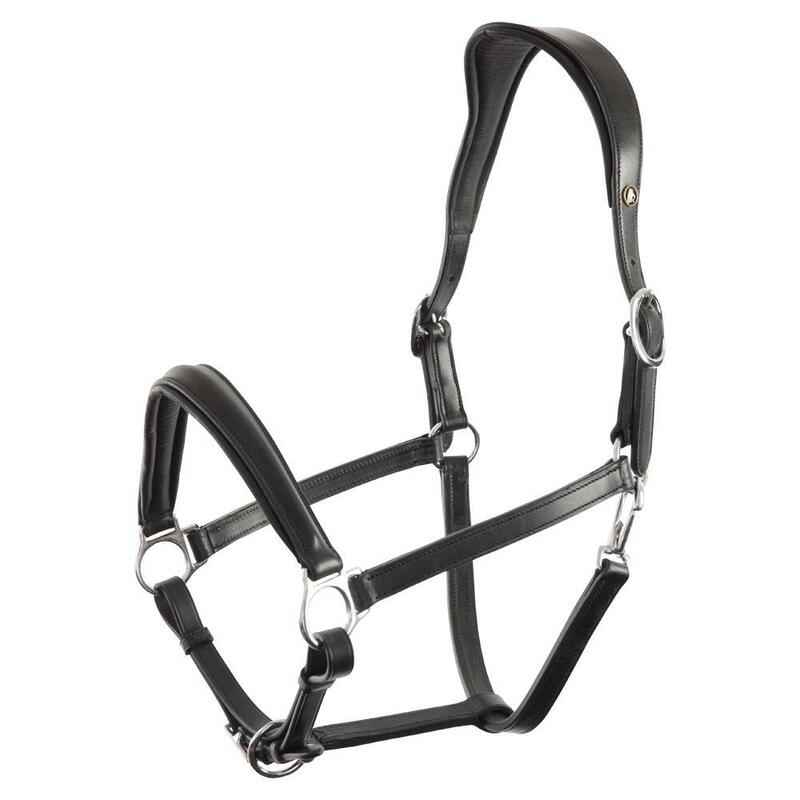 Anatomisches Halfter aus Leder BR Equitation Aberdeen