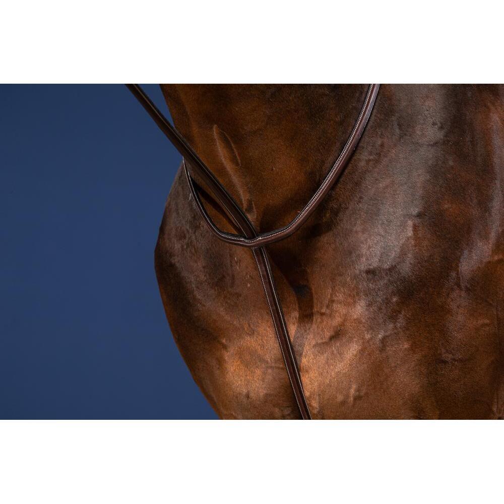 Martingala per cavallo fisso Dy'on 5/5