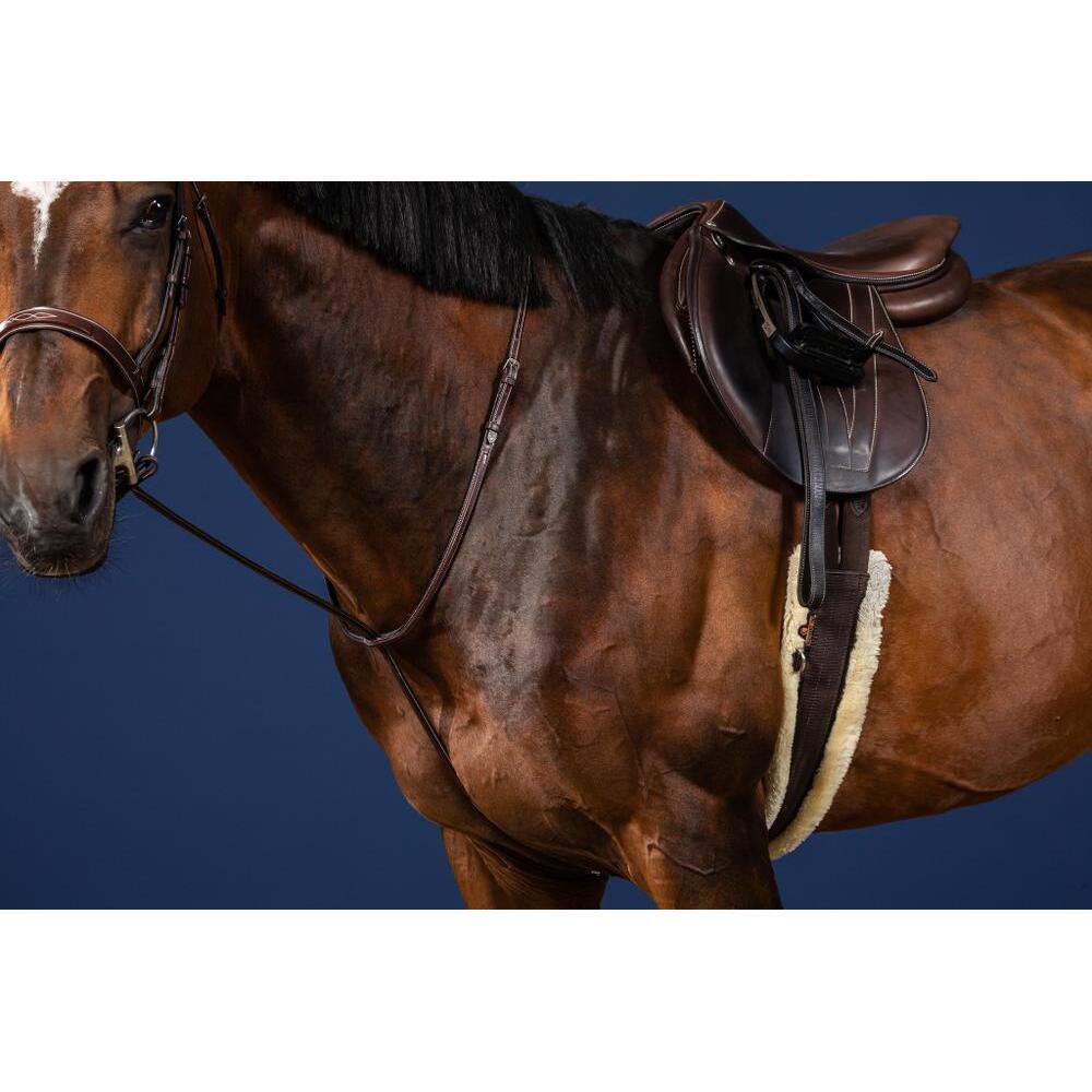 Martingala per cavallo fisso Dy'on 4/5