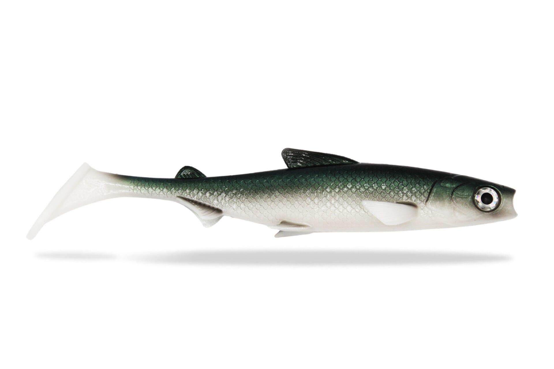 FISHINGGHOST Esca morbida siliconica - Renky Shad 22cm - White Fish