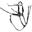 Collier de chasse pour cheval 5-points élastique Premiere
