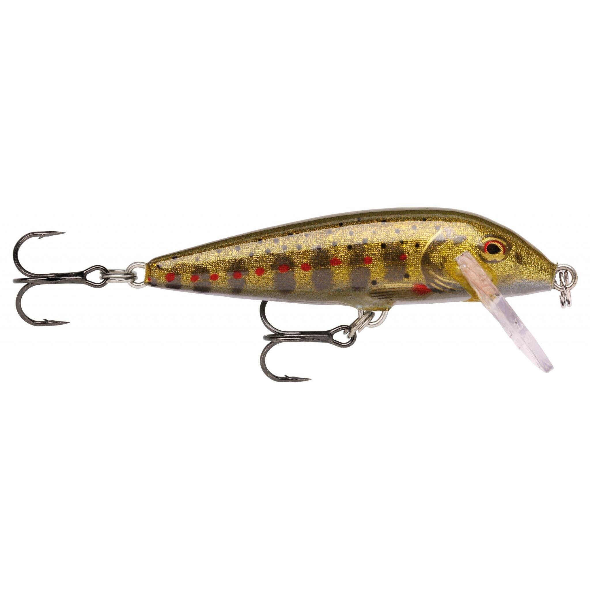RAPALA picture