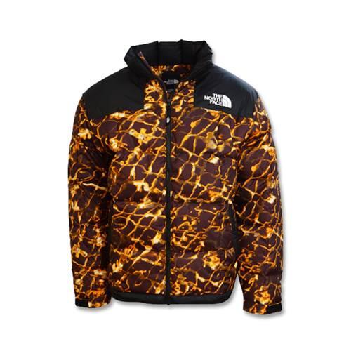 Women universal Jacket The North Face NF0A3Y23OS3