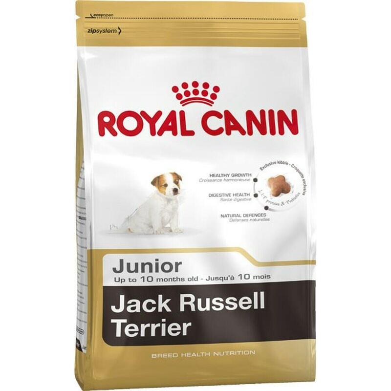 Io penso Royal Canin Jack Russell Junior 3 Kg