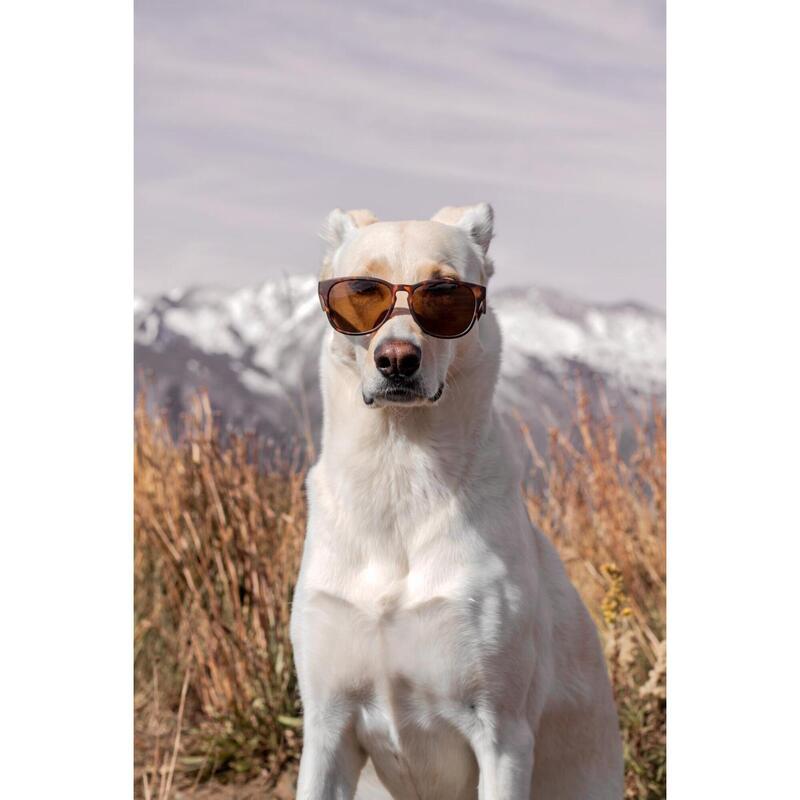 Lunettes de soleil Mundaka Drakar