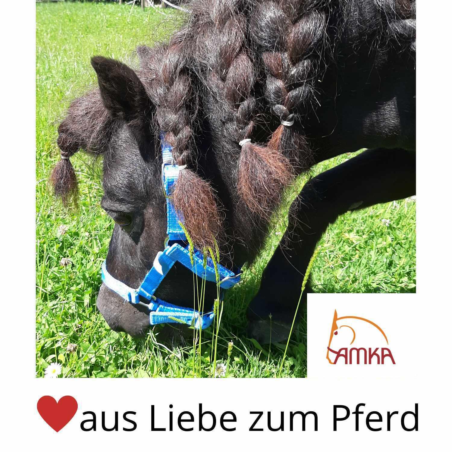 AMKA Ponytrense Wassertrense 4/4