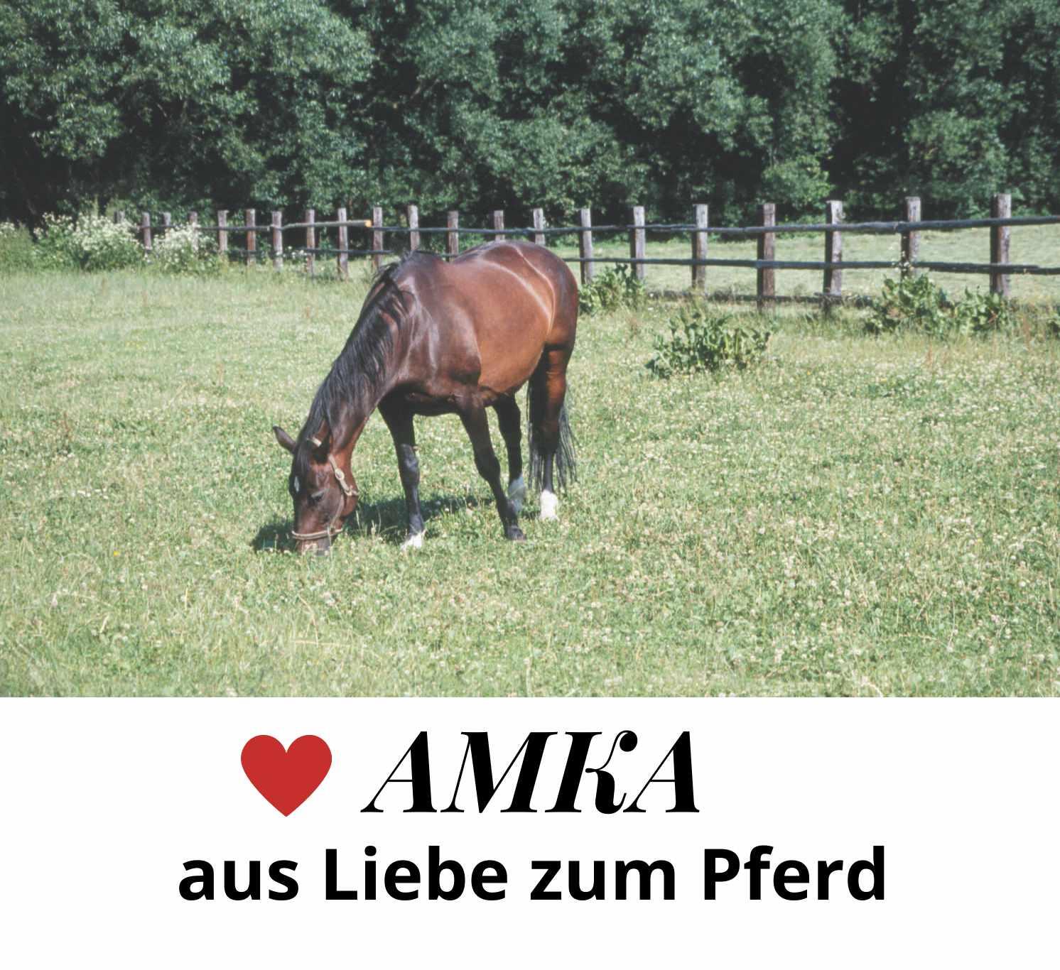 AMKA Halsriemen 4/4