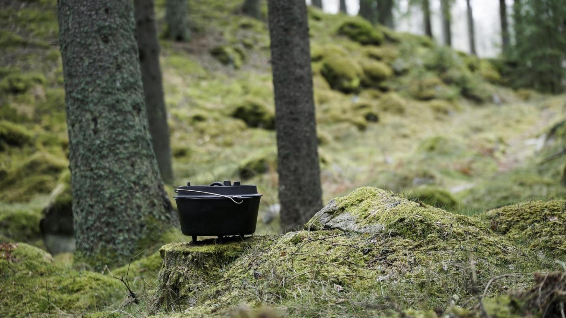 Petromax Dutch Oven FT12-12QT - Avec Pieds 4/7