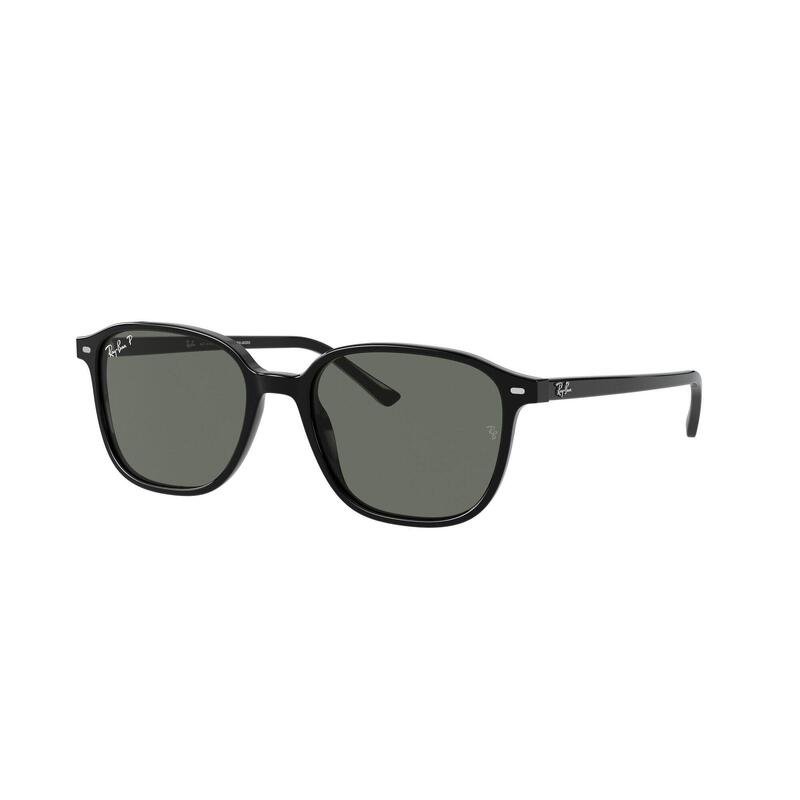 Gafas de sol Ray-Ban LEONARD RB 2193 unisex Talla 55/18/145