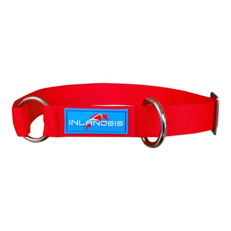 Collier pour chien Summit