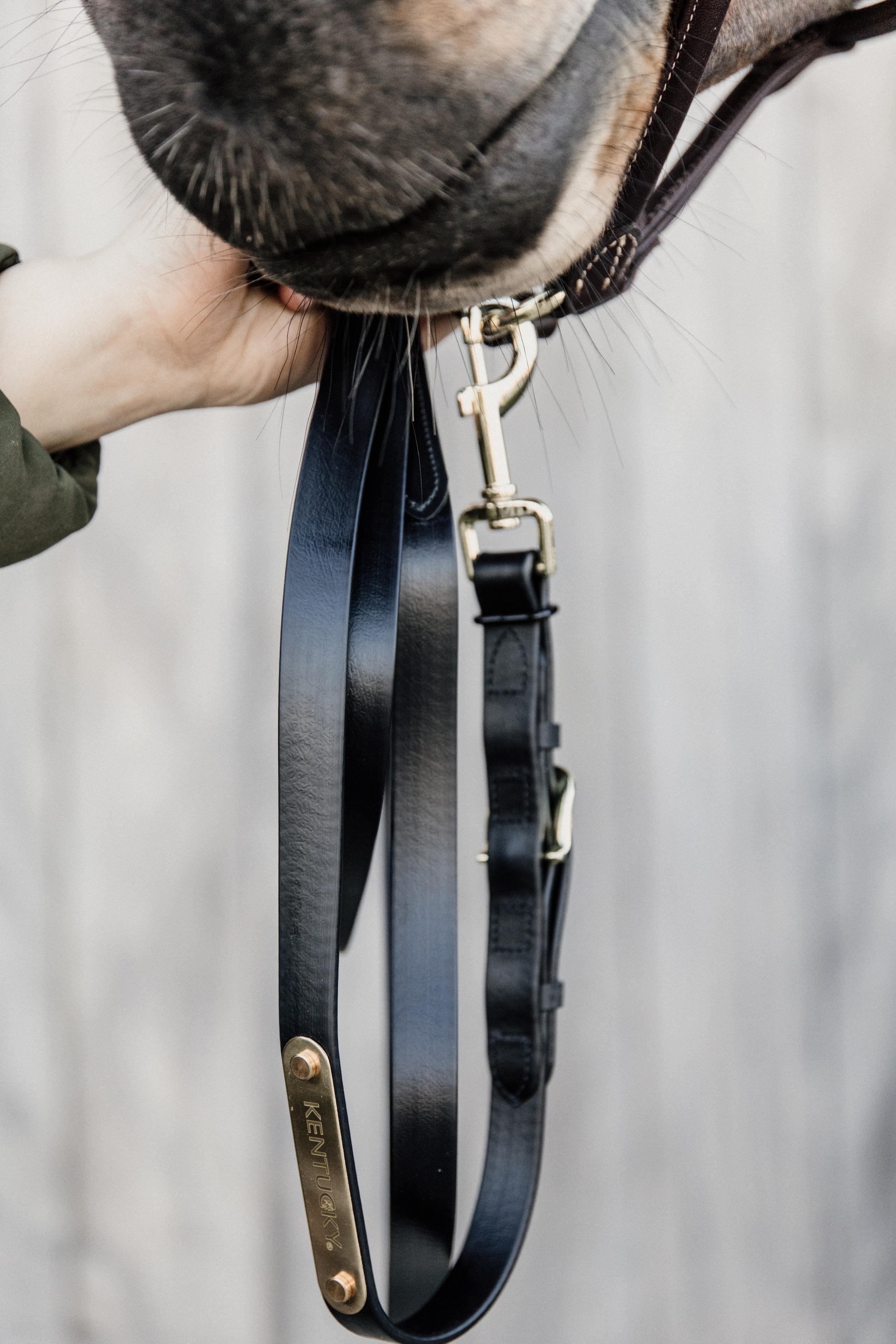 Longe équitation pour cheval de présentation cuir Kentucky 4/4