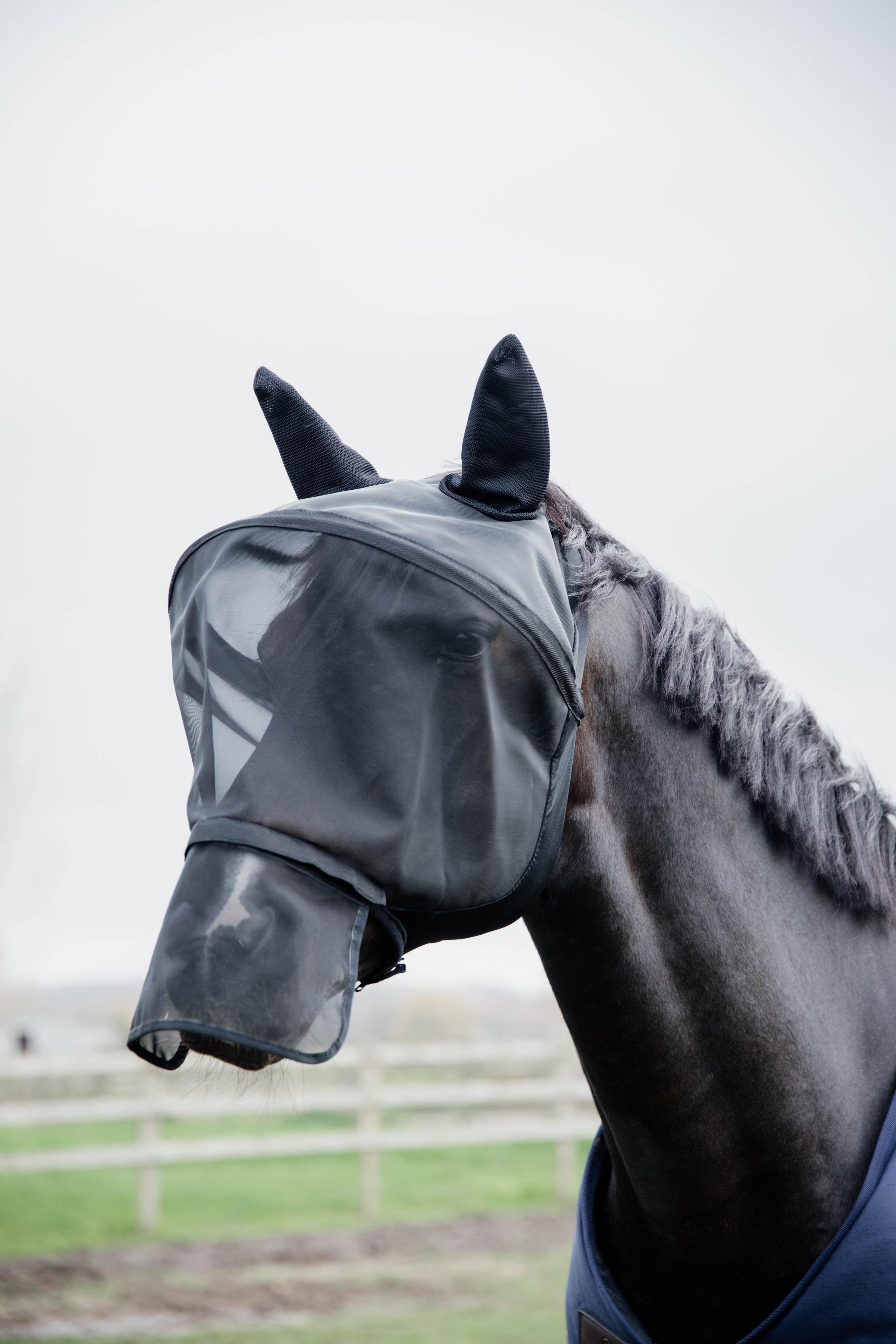 KENTUCKY HORSEWEAR picture