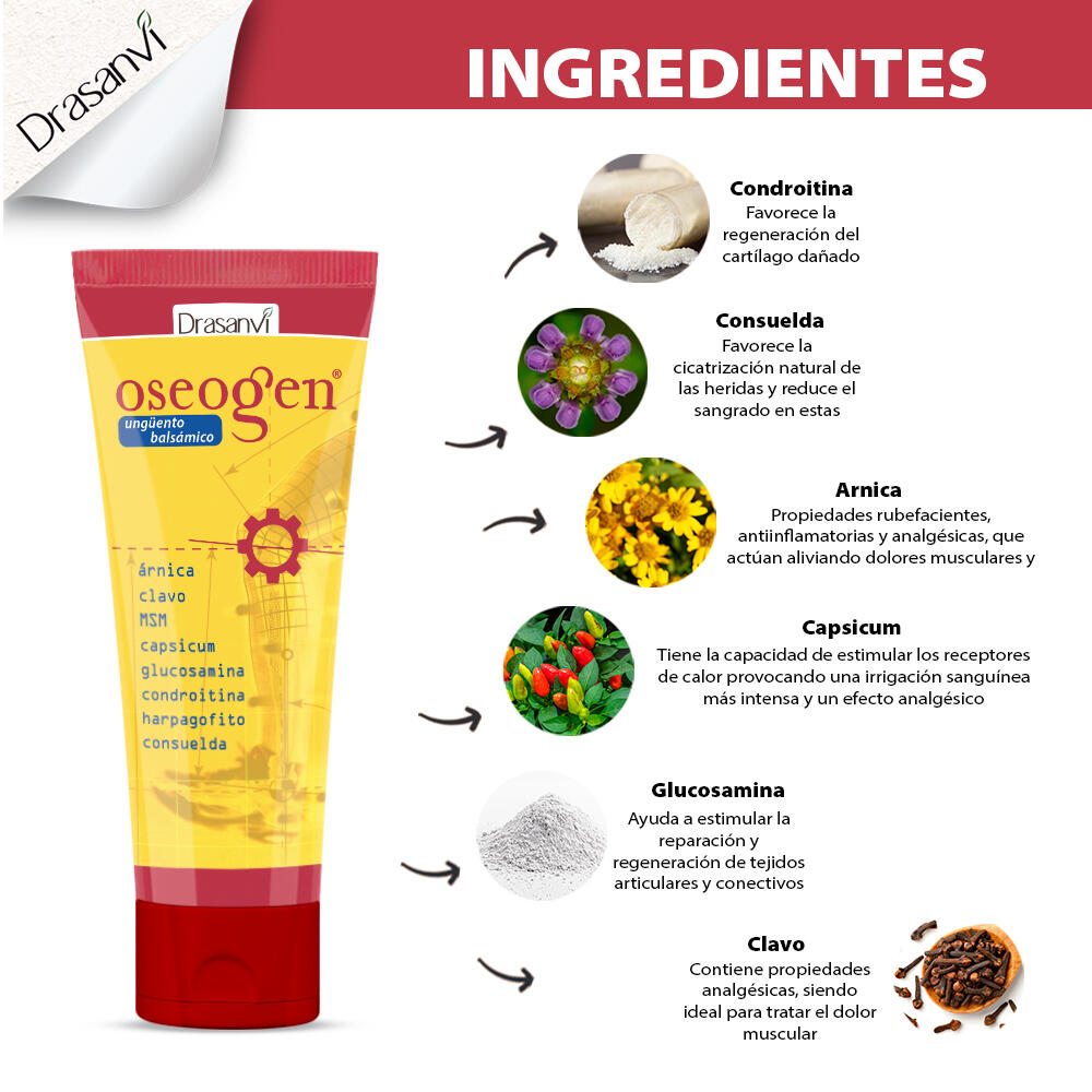 Oseogen Ünguento - Para el dolor articular - Uso tópico - 75ml - DRASANVI 5/6