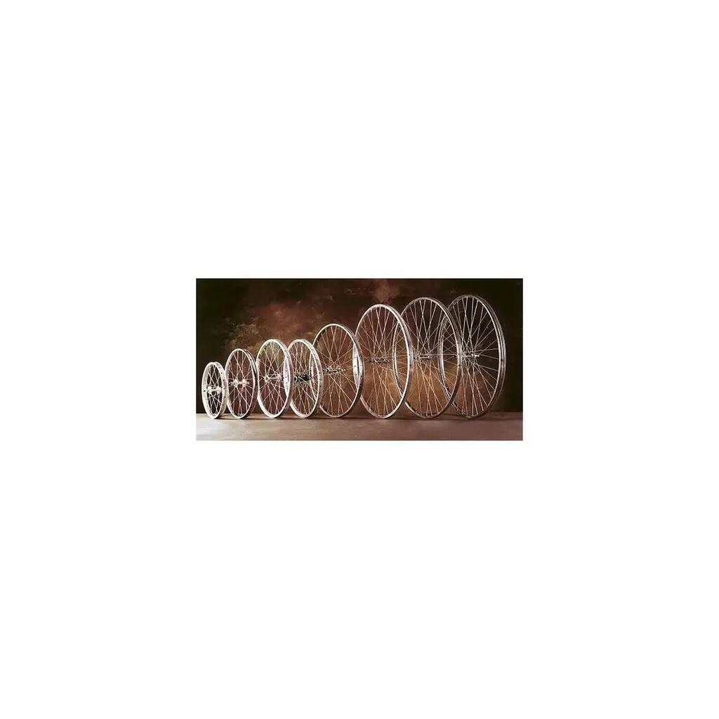 Rear mountain bike wheel with 350 aluminum spokes Gurpil