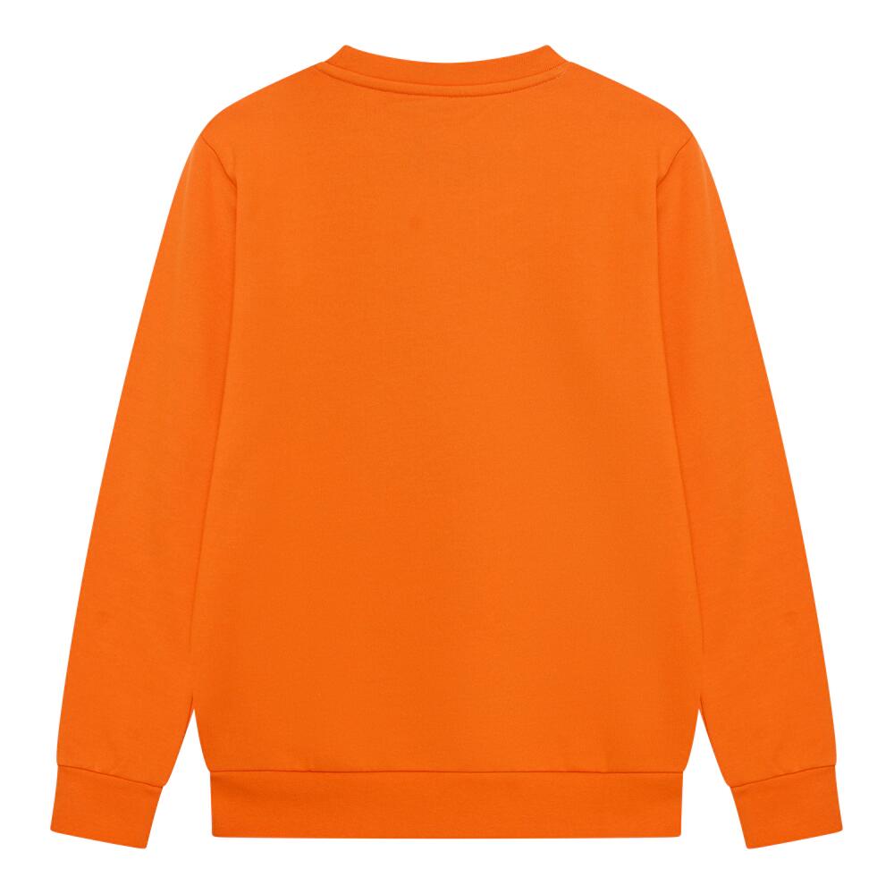 Nederlands elftal Sweater Heren - EK 2024 - Holland sweater - KNVB 3/5