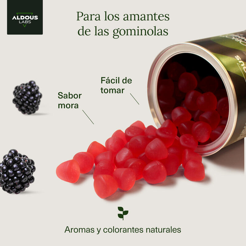 Probióticos + Vitaminas en gominolas Aldous Labs  120 gummies sabor a mora