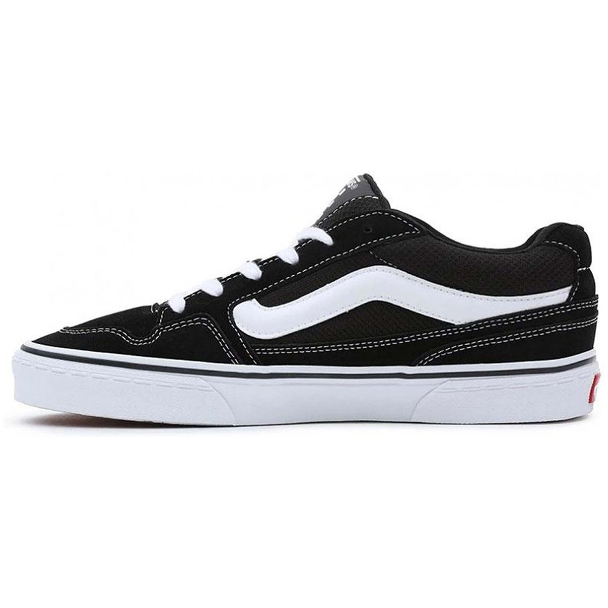 VANS picture
