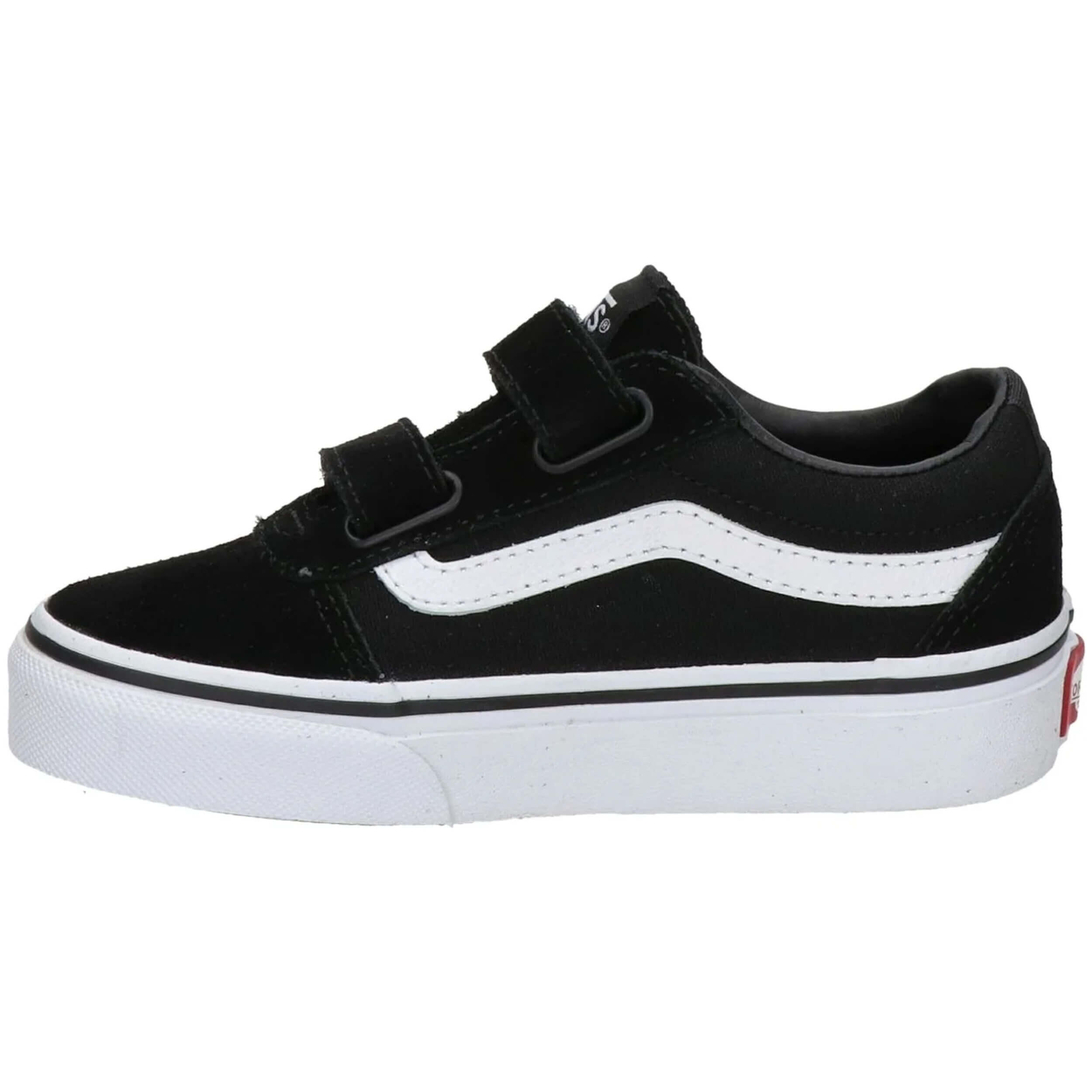 VANS picture