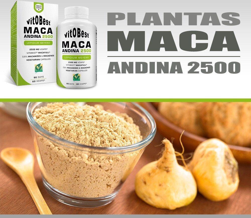 Maca Andina 2500 60 Caps 2/6