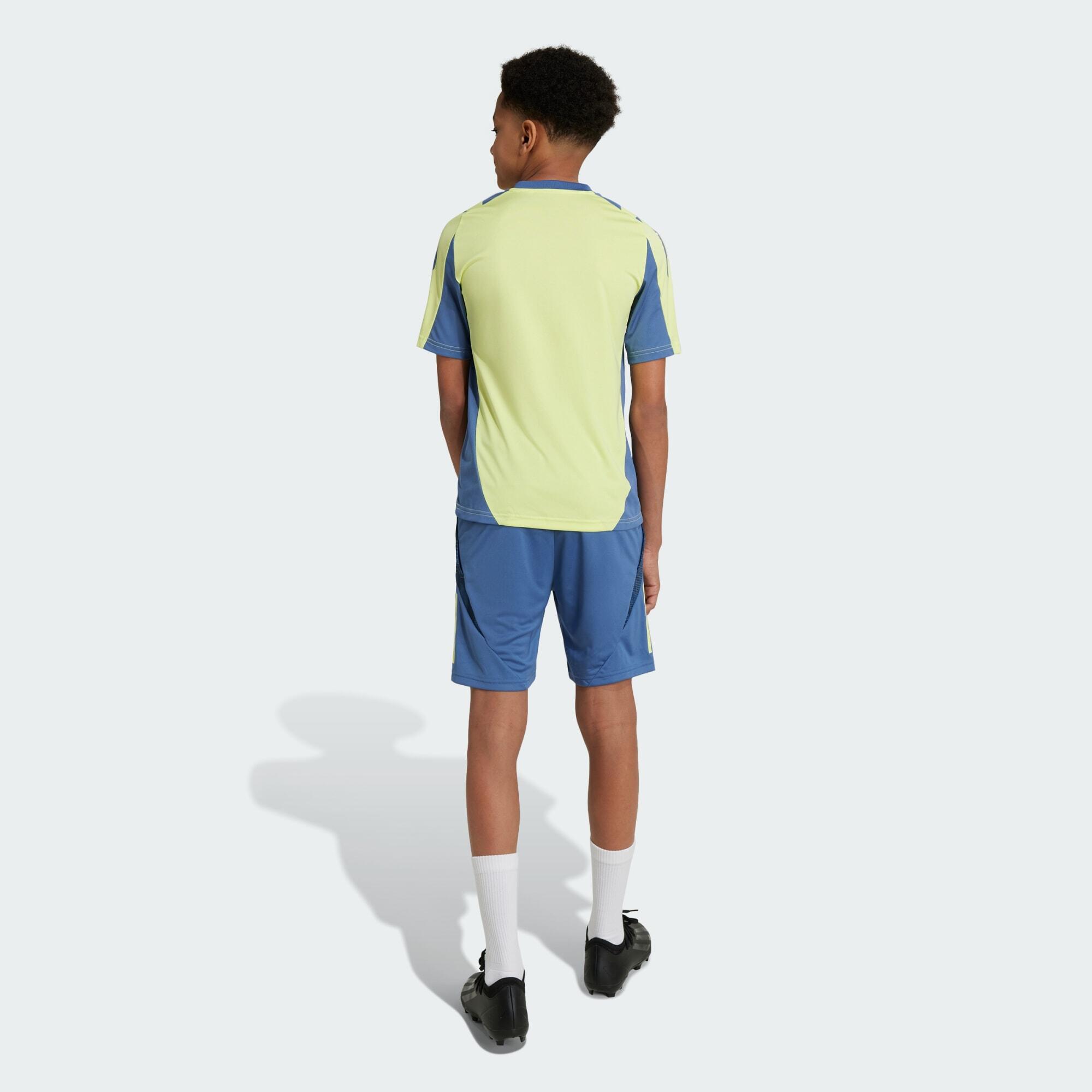 Ajax Amsterdam Tiro 24 Competition Training Short Kids 3/5