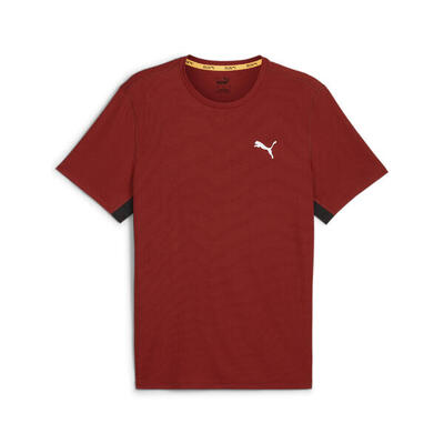 Run favorite velocity t-shirt voor heren puma mars red