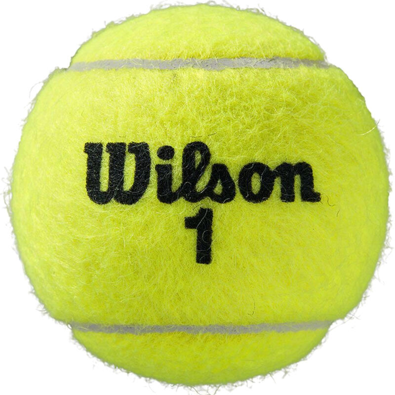 Teniszlabda Wilson Roland Garros All Court 4 Pack Tennis Ball, one size méret