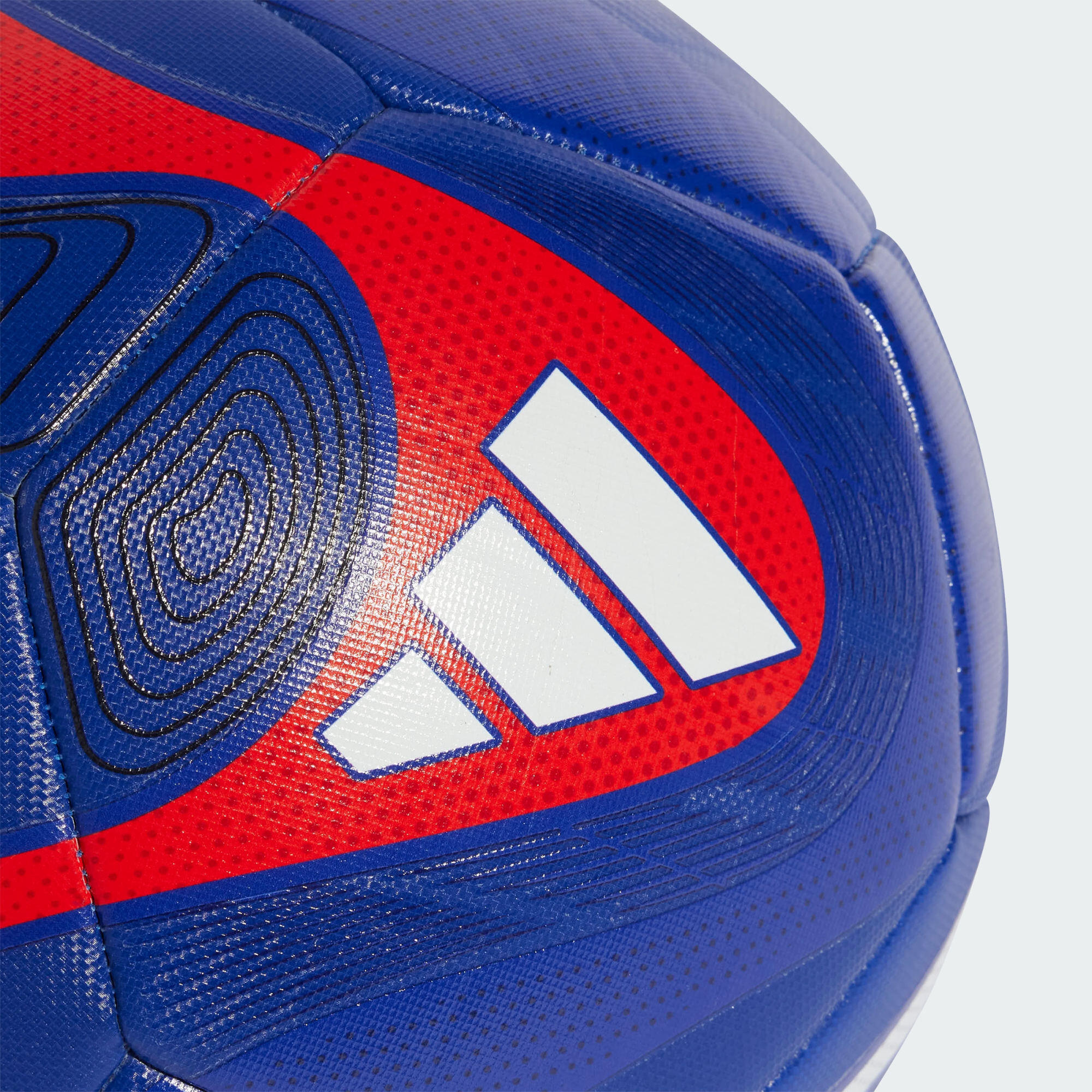 Bola de Treino Predator 4/6