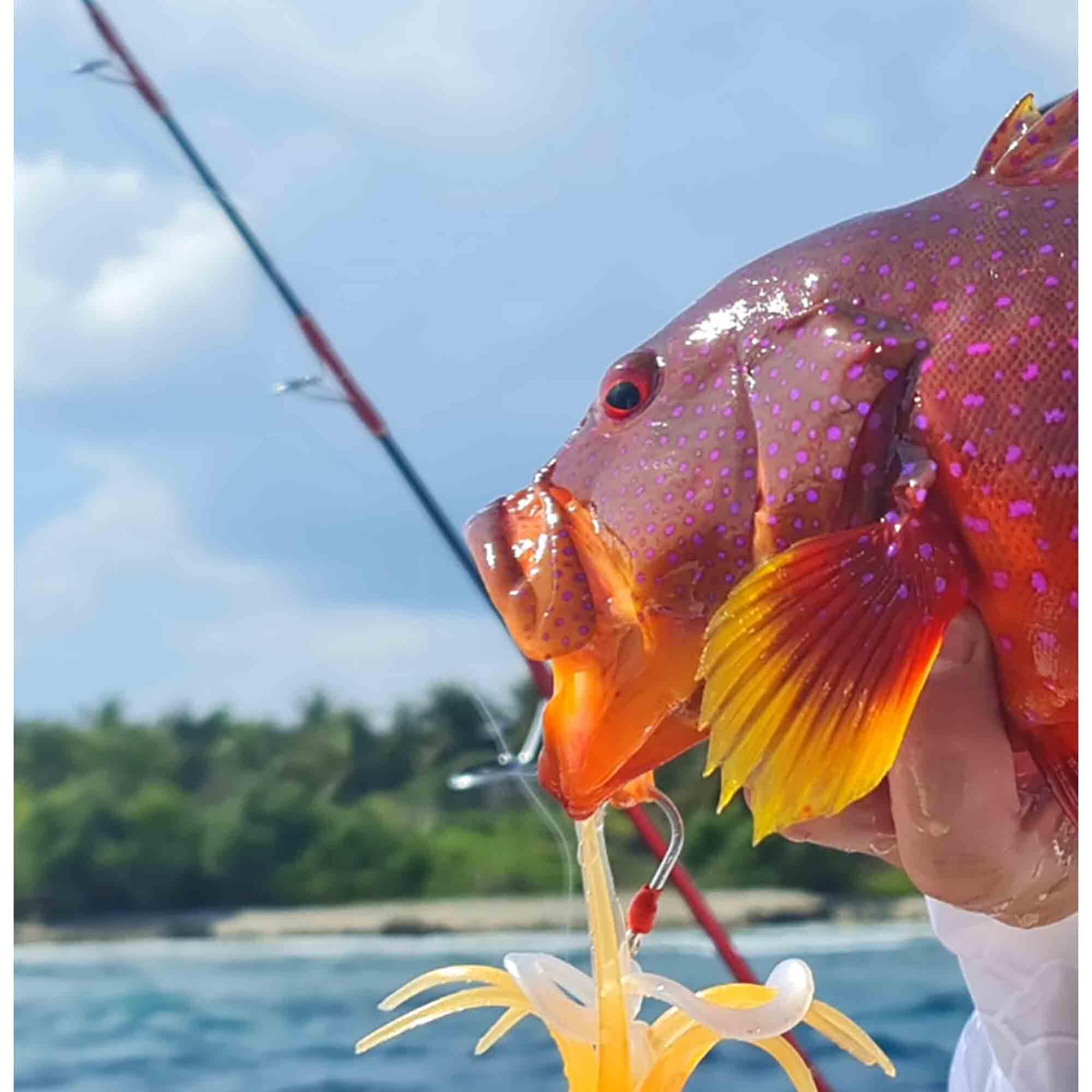 JLC Tentáculos Calamar Vinilo Cebo Blando Pesca Jigging NC 3/4