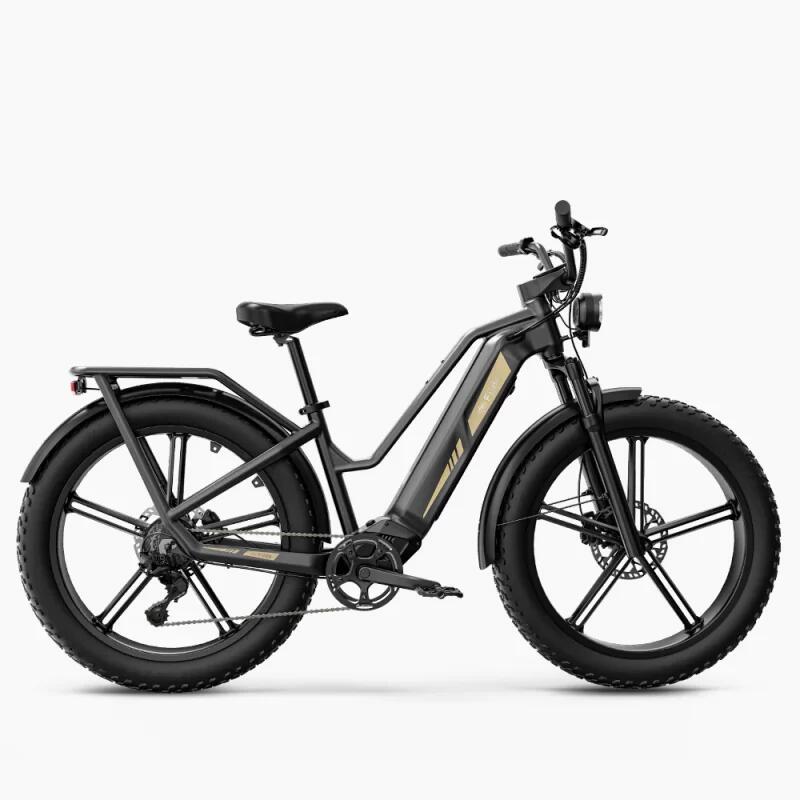 Bicicleta elétrica fiido fiido titan robust cargo - 750w - cinza