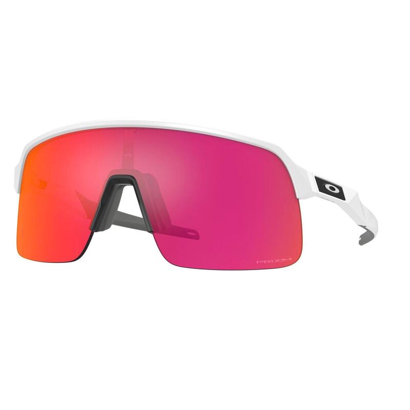 7fe5a227-2dbf-498c-9341-11028d26b08c_c4c14