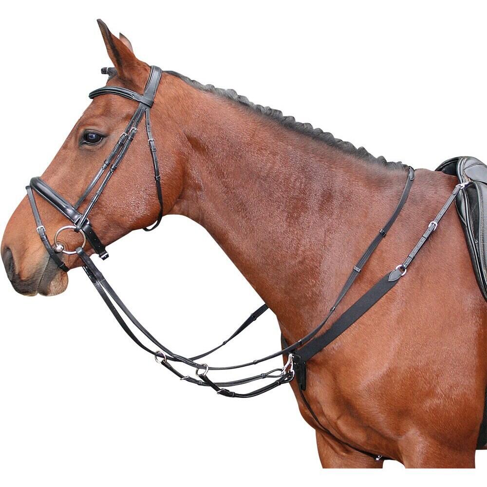 Collier de chasse élastique pour cheval Harry's Horse 2/2