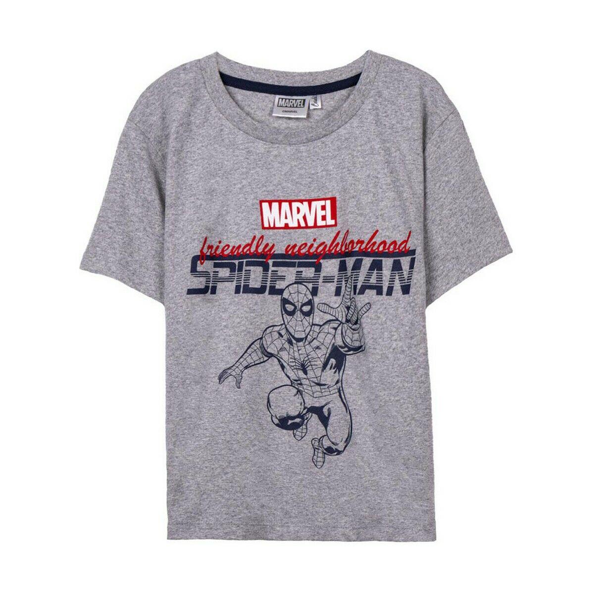 SPIDERMAN picture