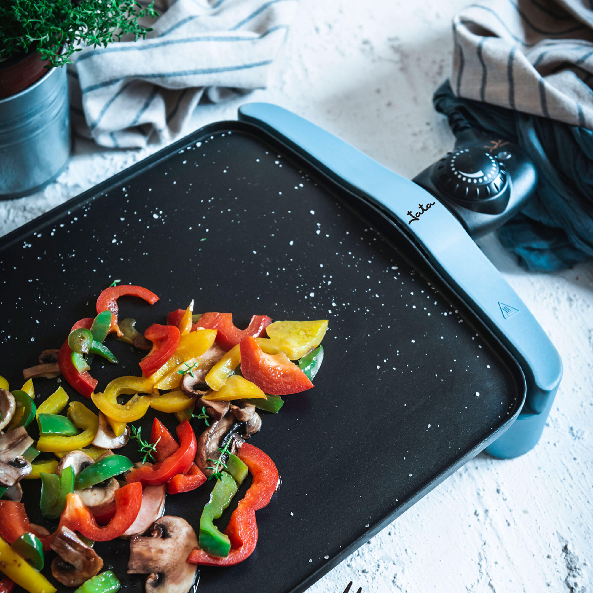 Plancha de cocina antiadherente Jata GR2500 AM. 46 x 28 cm. 2500 W. 2/5