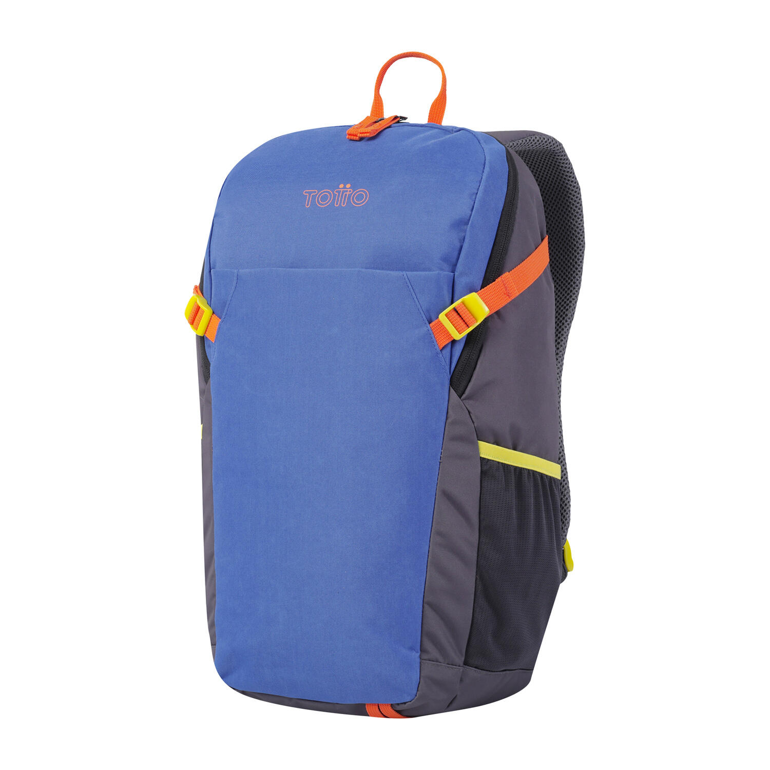 Totto Mochila urbana ATL Gris y Azul Poliéster 30 x 49 x 17 cm 2/5