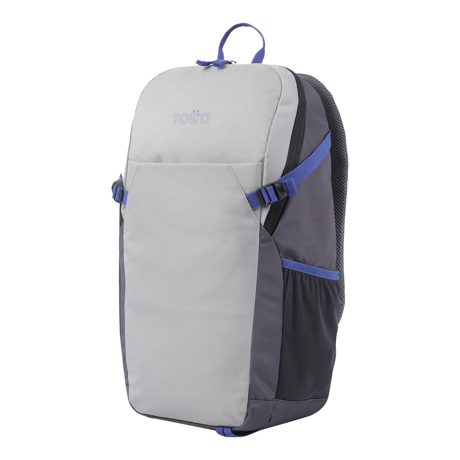 Totto Mochila urbana ATL Gris Poliéster 30 x 49 x 17 cm 2/5