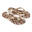 Flip-flops dama Ipanema Animale Print III