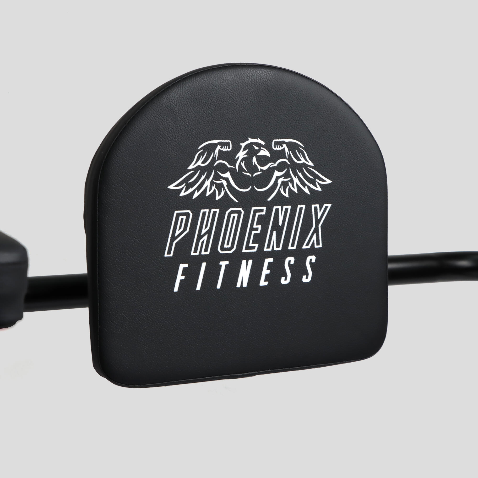Phoenix Fitness Deluxe Pull Up Rack 2/7