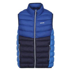 Veste Sans Manches HARROCK Homme (Bleu Roi / Bleu Marine)