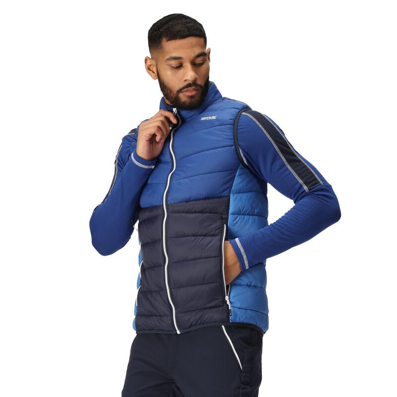 Heren Harrock II Gewatteerd Gilet (Nieuw Koninklijk/Noorlogs)