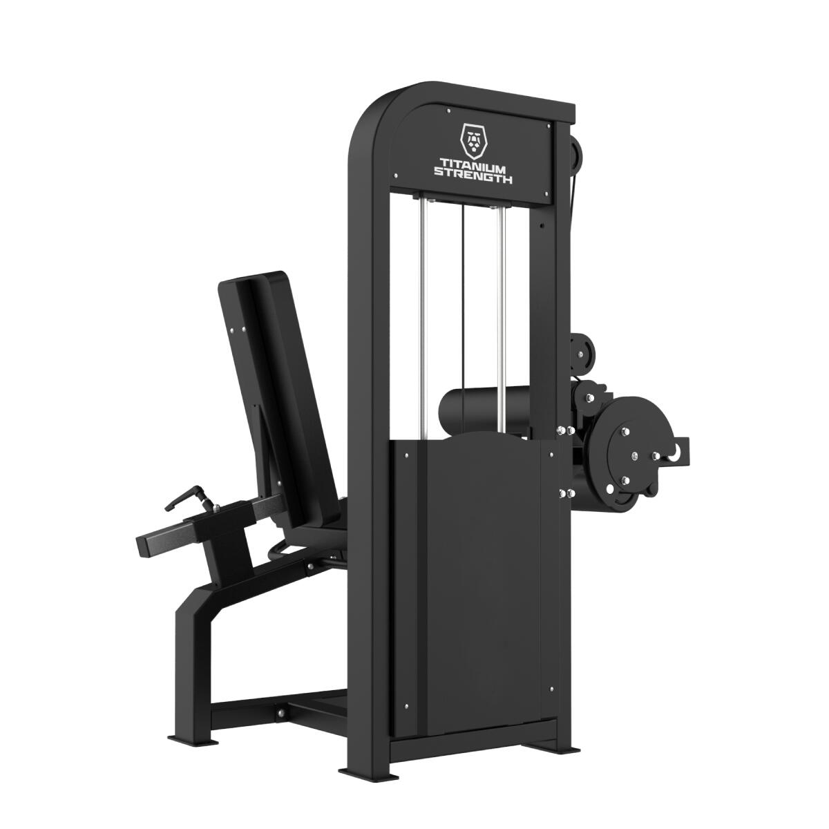 Selectorizada Extensión de Piernas y Femoral Sentado Titanium 2/3