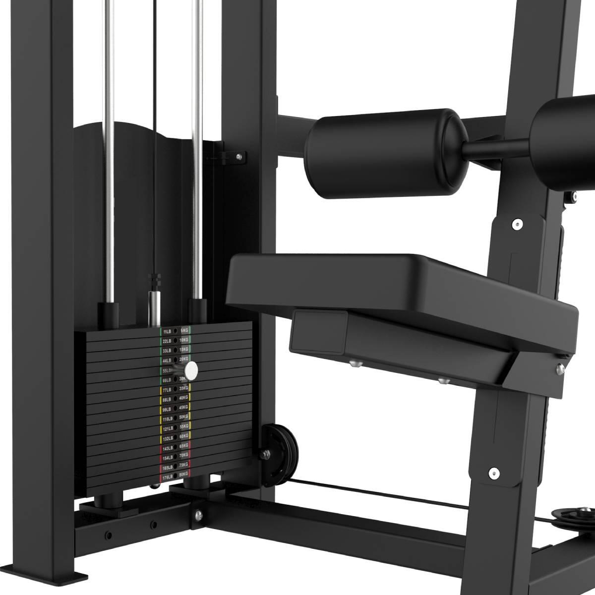 Selectorizada Jalón Dorsal Titanium Strength 5/5