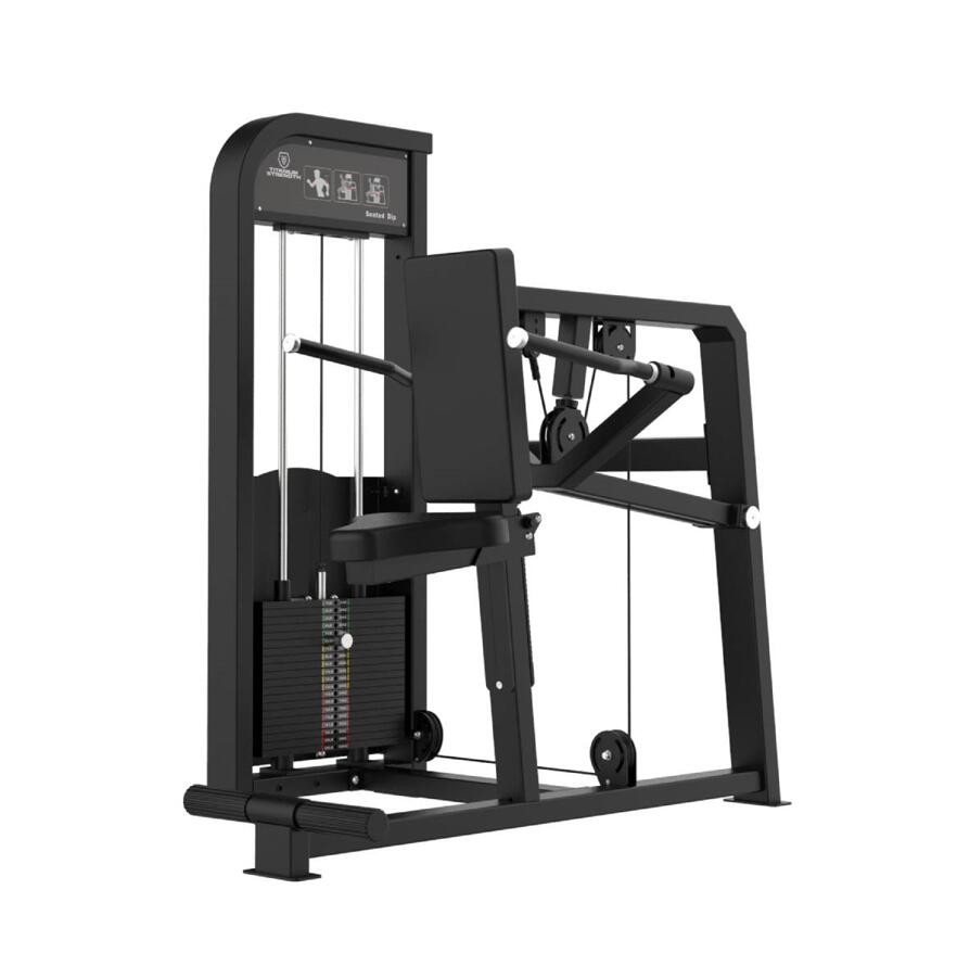 Selectorizada Fondos de Tríceps Titanium Strength 1/5
