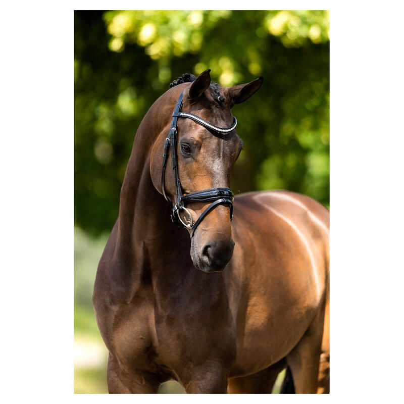 Bridons équitation muserolle combinée BR Equitation Ipswich