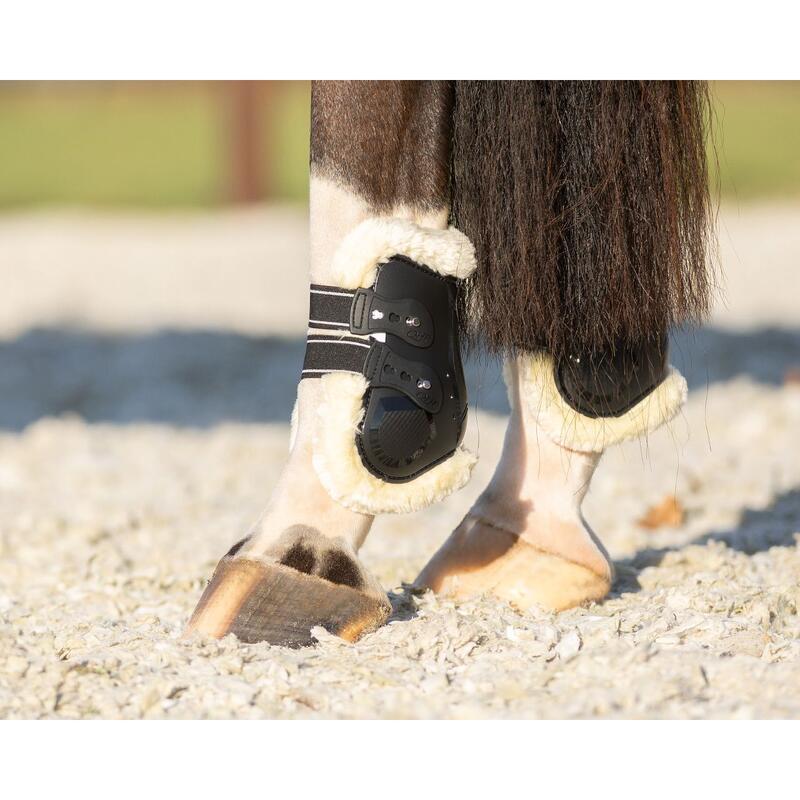 Protège-boulets pour cheval QHP Menton