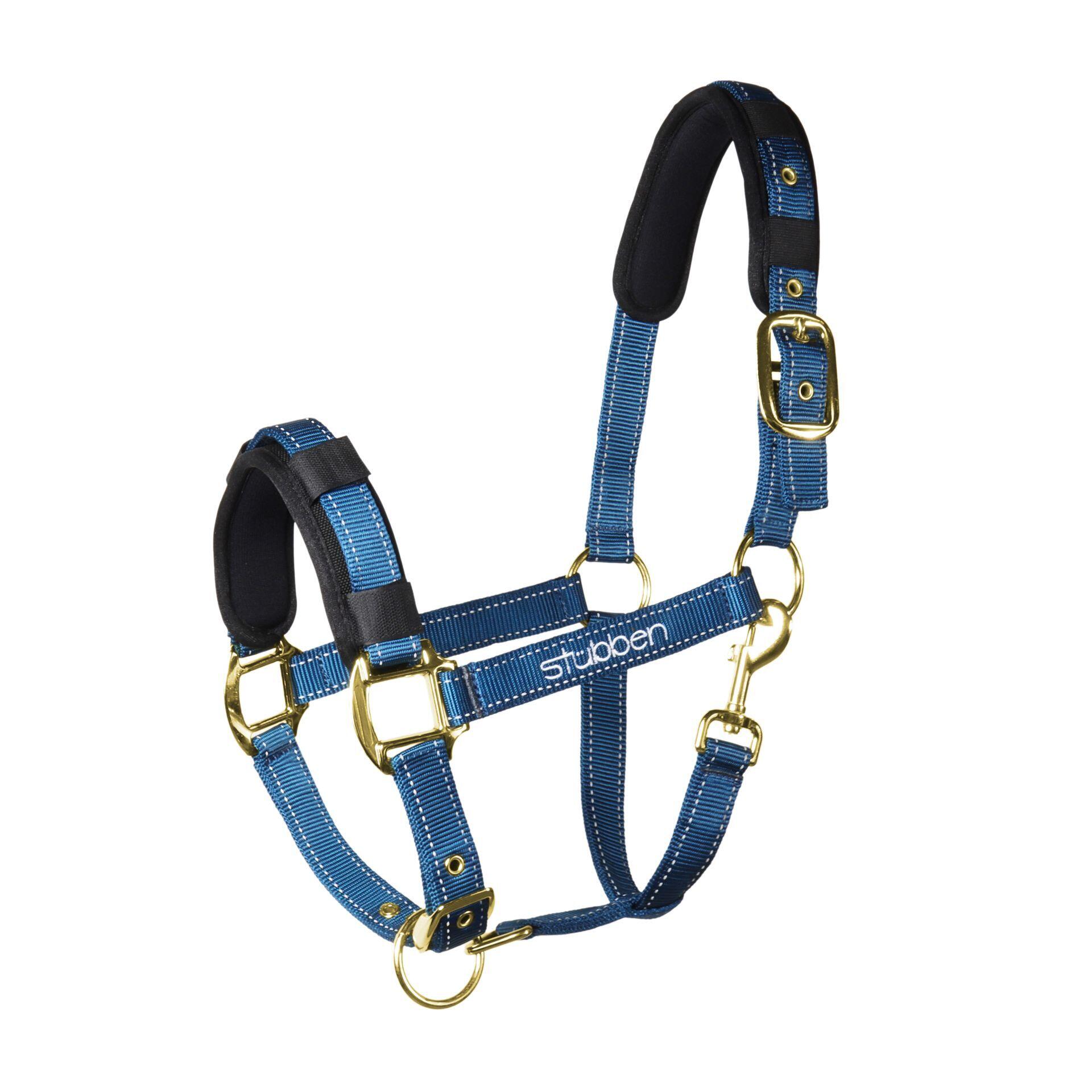 Horse halter with Stübben reflective stitching