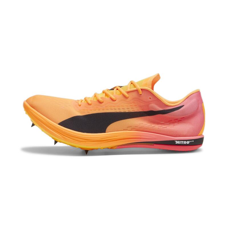 Chaussures d'athlétisme Puma Evospeed Nitro Elite 2